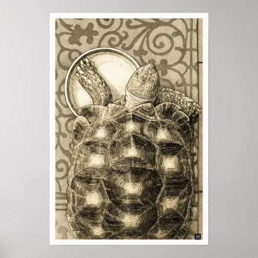 Sulcata Tortoise Art Nouveau Ink Sepia drawing Poster (Vorne)