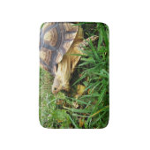 Sulcata Tortoise, die einen großen Biss von Löwenz Badematte (Vorderseite Vertikal)