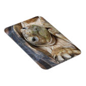 Sulcata Tortoise Face Nah Magnet (Rechte Seite)