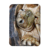 Sulcata Tortoise Face Nah Magnet (Vertikal)