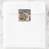 Sulcata Tortoise Face Nah Quadratischer Aufkleber (Tasche)