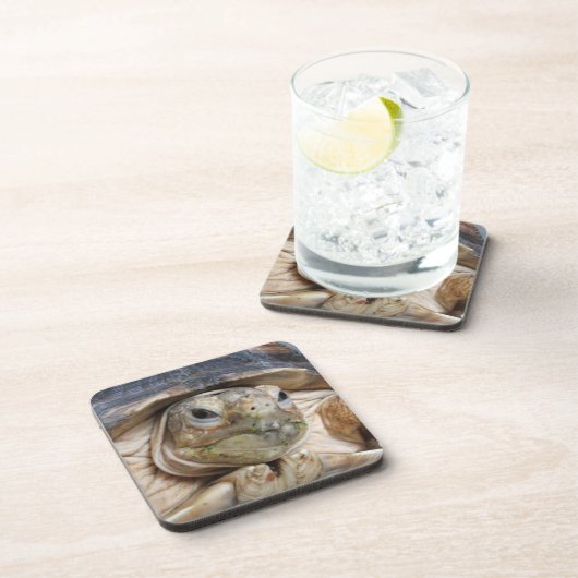 Sulcata Tortoise Face Nah-up Beverage Getränkeuntersetzer (Rechte Seite)