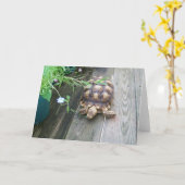 Sulcata Tortoise Lounging on Balcony Eating Flower Karte (Gelbe Blume)