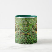Sulcata Tortoise, Mouth Open, Gras Weiden Tasse (Zentrum)