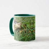 Sulcata Tortoise, Mouth Open, Gras Weiden Tasse (Vorderseite Links)