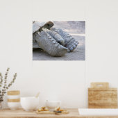 Sulcata Tortoise Poster (Küche)