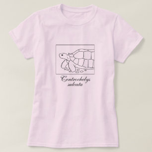 Sulcata Tortoise Shirt (Box, schwarz)