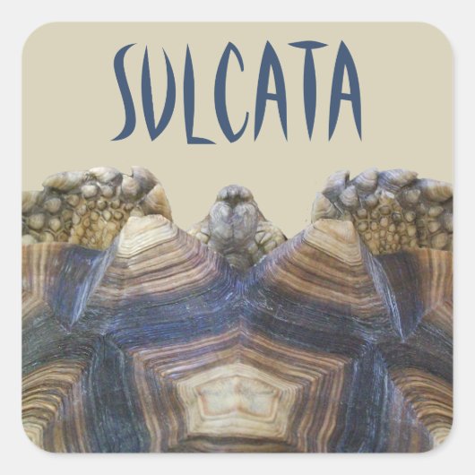 Sulcata Tortoise Stickers (Vorderseite)