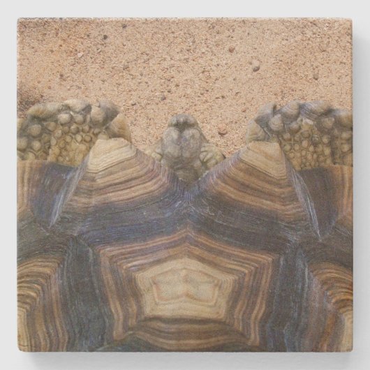 Sulcata Tortoise und Sand Magnet Steinuntersetzer (Vorderseite)