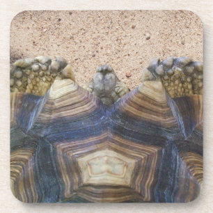 Sulcata Tortoise und Sand Magnet Stone Untersetzer