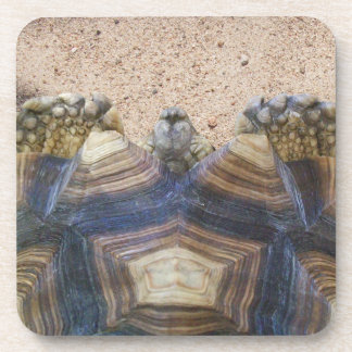 Sulcata Tortoise und Sand Magnet Stone Untersetzer
