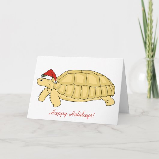 Sulcata Tortoise Weihnachtskarte Feiertagskarte (Vorderseite)