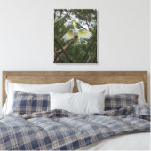 Sulfatzellbird Australien Leinwanddruck (Insitu (Schlafzimmer))