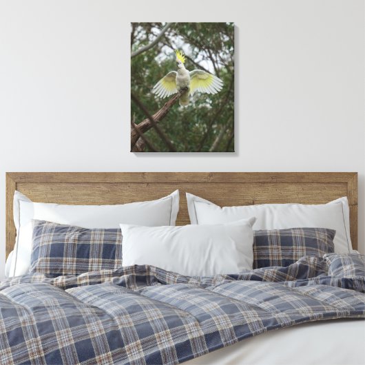 Sulfatzellbird Australien Leinwanddruck (Insitu (Schlafzimmer))