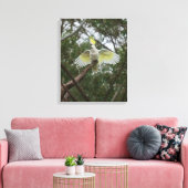 Sulfatzellbird Australien Leinwanddruck (Insitu (Wohnzimmer))