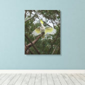 Sulfatzellbird Australien Leinwanddruck (Insitu (Holzboden))