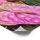 Sulfer-Kakadu Poster (Ecke)