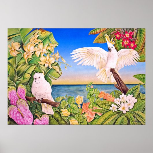 Sulfer-Kakadu Poster (Vorne)