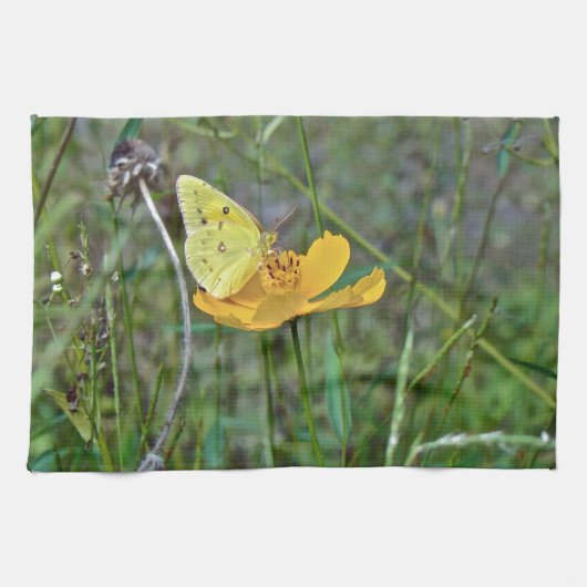 Sulfur Butterfly Geschirrtuch (Horizontal)