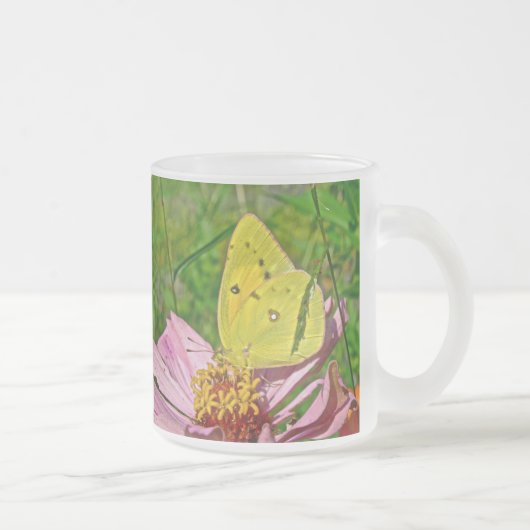 Sulfur Butterfly Mattglastasse (Rechts)