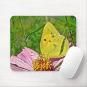 Sulfur Butterfly Mousepad (Mit Mouse)