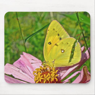 Sulfur Butterfly Mousepad