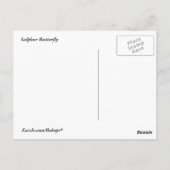 Sulfur Butterfly Postkarte (Rückseite)