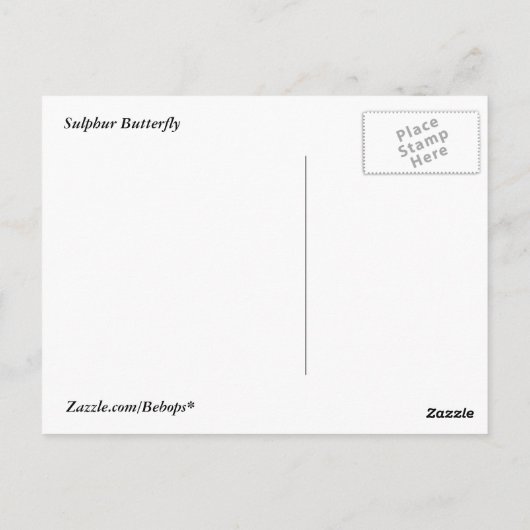 Sulfur Butterfly Postkarte (Rückseite)