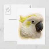 Sulfur Crested Cockatoo realistische Malerei Postkarte (Vorne/Hinten)