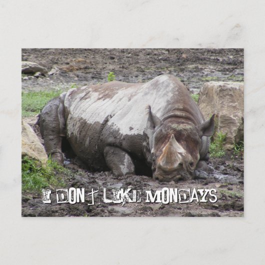 Sulking Rhino Postcard Postkarte (Vorderseite)