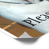 "Sullivan", der englische Bulldog/Poster Poster (Ecke)