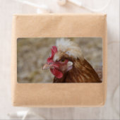 Sulmtaler Hen (Insitu)