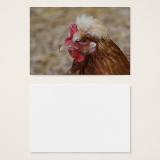 Sulmtaler Hen (Vorne & Hinten)