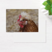 Sulmtaler Hen (Schreibtisch)