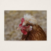 Sulmtaler Hen (Vorderseite)