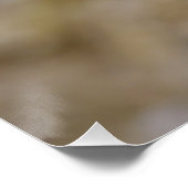 Sulmtaler Hen Poster (Ecke)