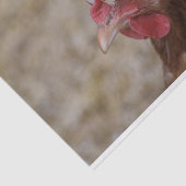 Sulmtaler Hen Seidenpapier (Ausschnitt)