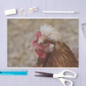 Sulmtaler Hen Seidenpapier (Handwerk)