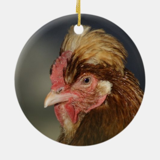 Sulmtaler Keramikornament (Hinten)