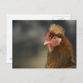 Sulmtaler Postkarte (Vorne/Hinten)