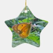 Sulpher Butterfly Keramikornament (Vorne)