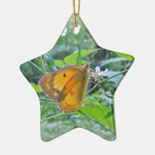 Sulpher Butterfly Keramikornament (Links)