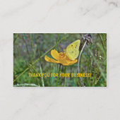 Sulpher Butterfly Visitenkarte (Rückseite)