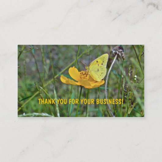 Sulpher Butterfly Visitenkarte (Rückseite)