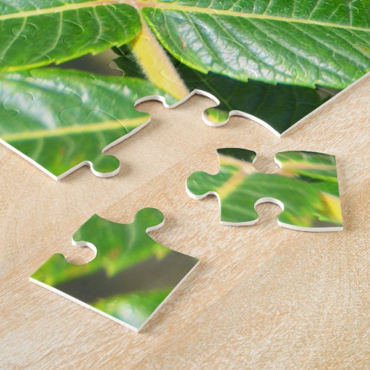 Sumac-Baum in Frankreich Puzzle (Seite)