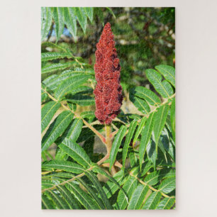 Sumac-Baum in Frankreich Puzzle