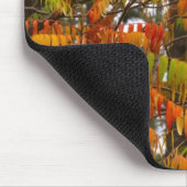 Sumac-Baum in Herbstfarbe in Whitefish, Mousepad (Ecke)
