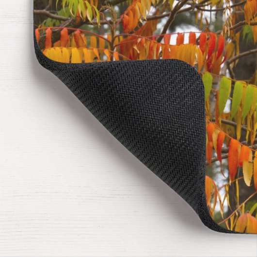 Sumac-Baum in Herbstfarbe in Whitefish, Mousepad (Ecke)