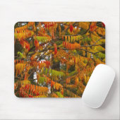 Sumac-Baum in Herbstfarbe in Whitefish, Mousepad (Mit Mouse)