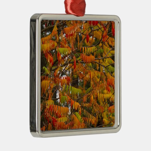 Sumac-Baum in Herbstfarbe in Whitefish, Silbernes Ornament (Rechts)